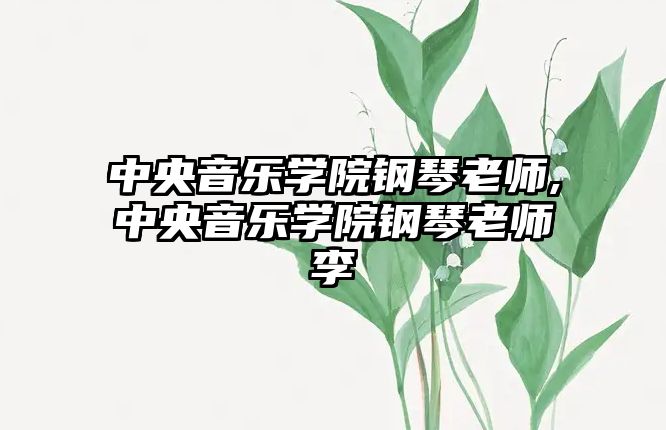 中央音樂學院鋼琴老師,中央音樂學院鋼琴老師李