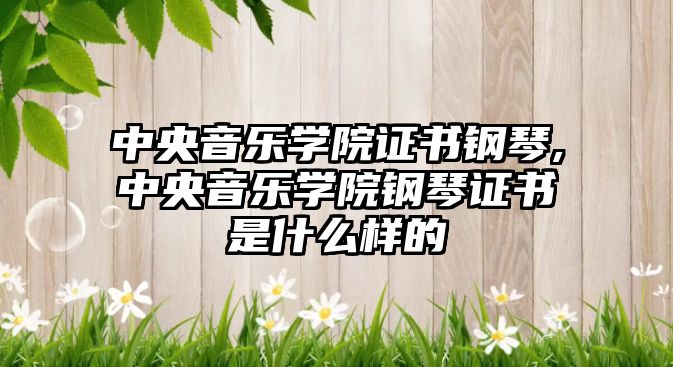 中央音樂學院證書鋼琴,中央音樂學院鋼琴證書是什么樣的