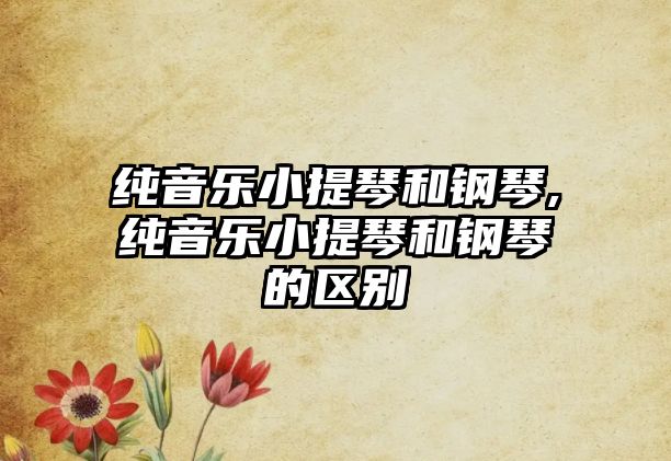 純音樂小提琴和鋼琴,純音樂小提琴和鋼琴的區別