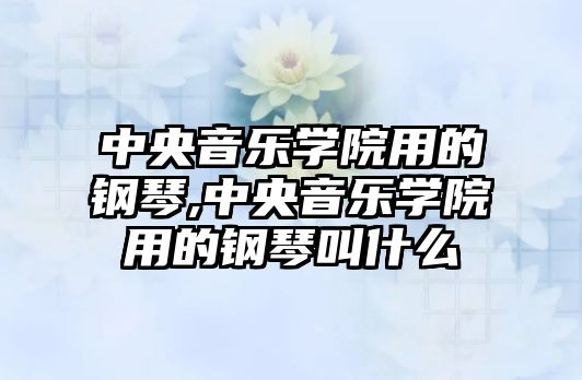 中央音樂學院用的鋼琴,中央音樂學院用的鋼琴叫什么