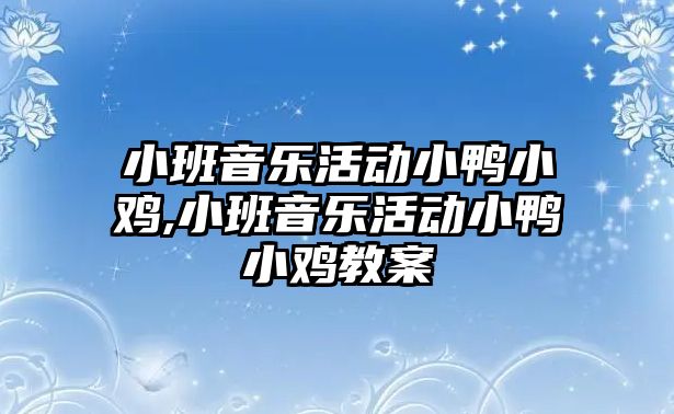 小班音樂活動小鴨小雞,小班音樂活動小鴨小雞教案