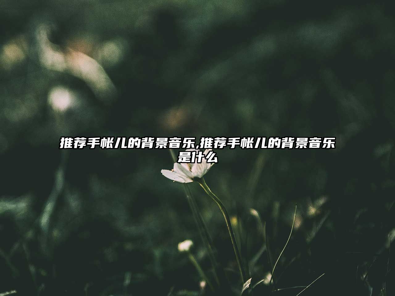 推薦手帳兒的背景音樂,推薦手帳兒的背景音樂是什么