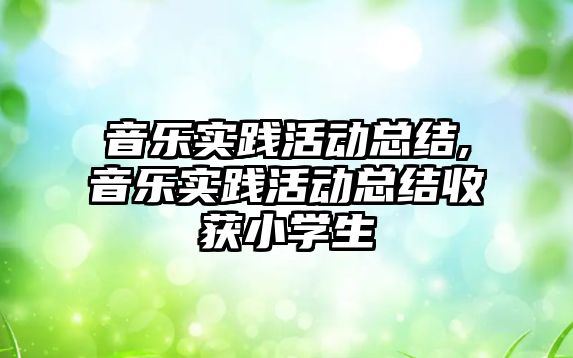 音樂實踐活動總結,音樂實踐活動總結收獲小學生