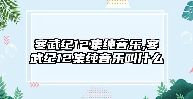 寒武紀12集純音樂,寒武紀12集純音樂叫什么