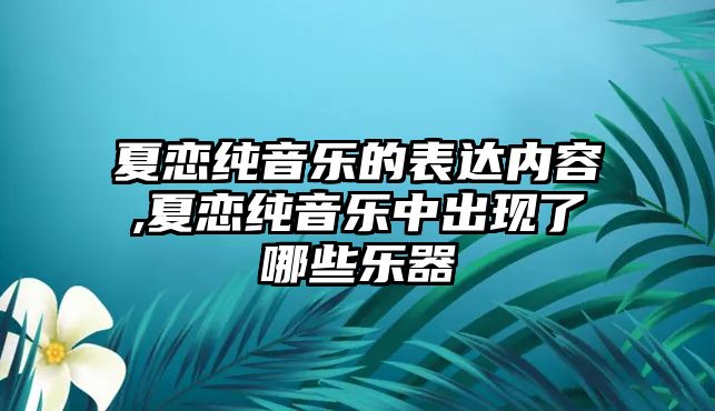 夏戀純音樂的表達內容,夏戀純音樂中出現了哪些樂器