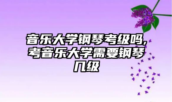 音樂大學(xué)鋼琴考級(jí)嗎,考音樂大學(xué)需要鋼琴幾級(jí)