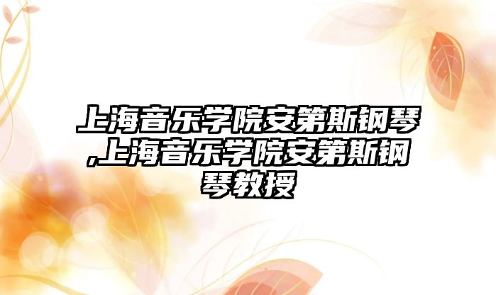 上海音樂學院安第斯鋼琴,上海音樂學院安第斯鋼琴教授