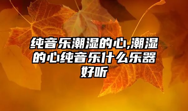 純音樂潮濕的心,潮濕的心純音樂什么樂器好聽