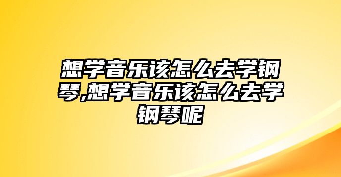 想學音樂該怎么去學鋼琴,想學音樂該怎么去學鋼琴呢