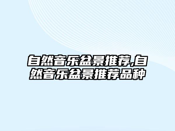 自然音樂盆景推薦,自然音樂盆景推薦品種