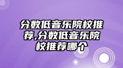 分數低音樂院校推薦,分數低音樂院校推薦哪個