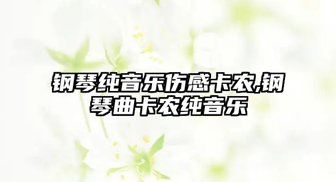 鋼琴純音樂傷感卡農,鋼琴曲卡農純音樂