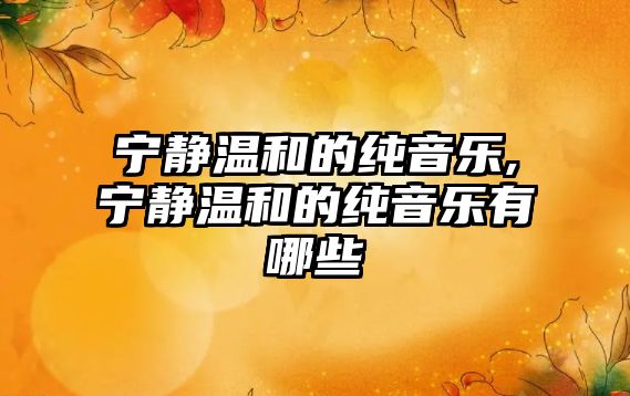 寧靜溫和的純音樂,寧靜溫和的純音樂有哪些