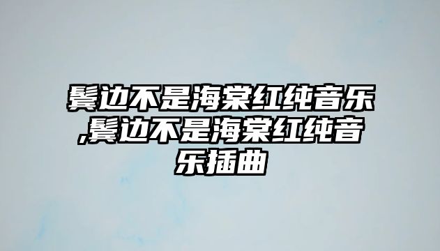 鬢邊不是海棠紅純音樂,鬢邊不是海棠紅純音樂插曲