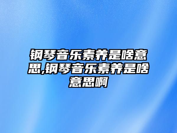 鋼琴音樂(lè)素養(yǎng)是啥意思,鋼琴音樂(lè)素養(yǎng)是啥意思啊