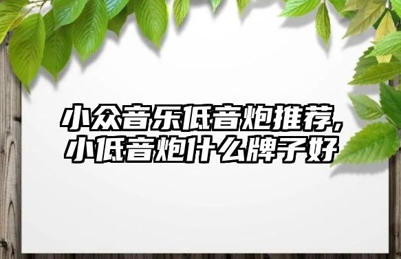 小眾音樂低音炮推薦,小低音炮什么牌子好