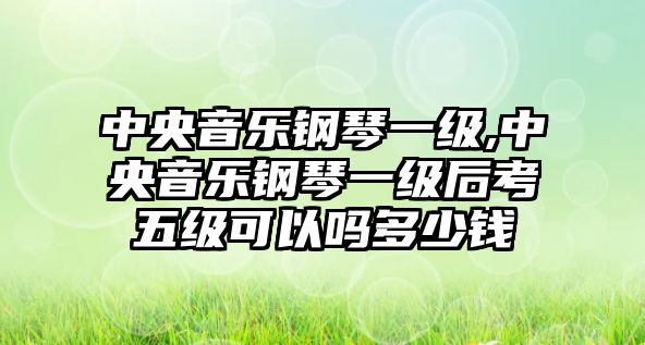 中央音樂鋼琴一級,中央音樂鋼琴一級后考五級可以嗎多少錢