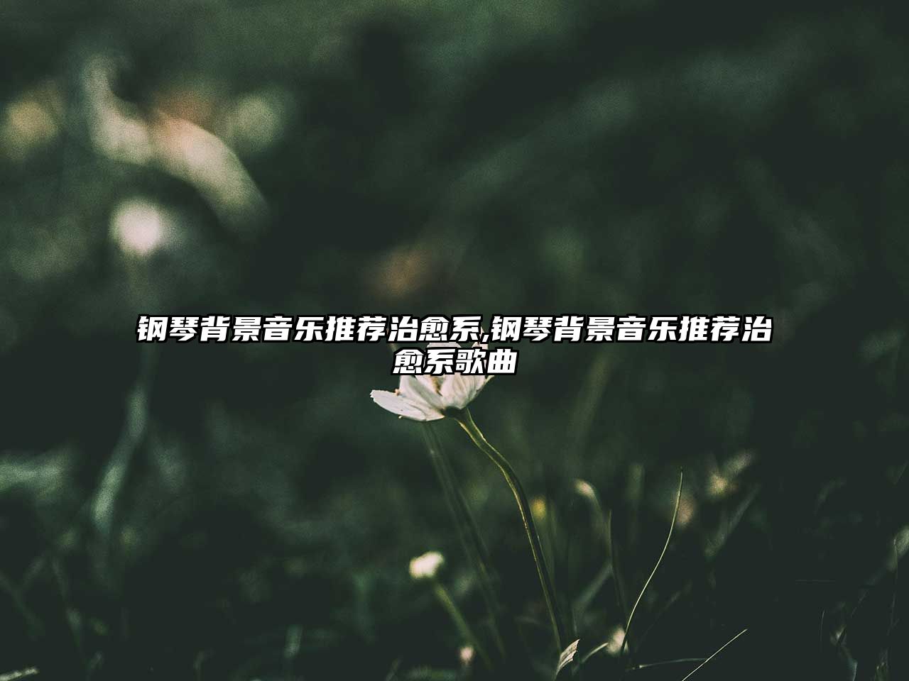 鋼琴背景音樂推薦治愈系,鋼琴背景音樂推薦治愈系歌曲