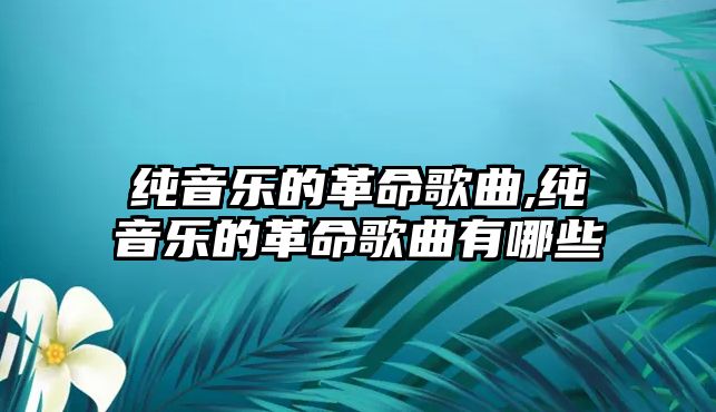 純音樂的革命歌曲,純音樂的革命歌曲有哪些