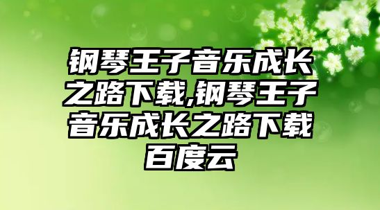 鋼琴王子音樂成長之路下載,鋼琴王子音樂成長之路下載百度云