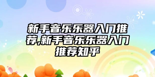 新手音樂樂器入門推薦,新手音樂樂器入門推薦知乎