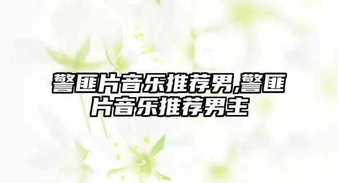 警匪片音樂推薦男,警匪片音樂推薦男主