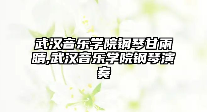 武漢音樂學(xué)院鋼琴甘雨睛,武漢音樂學(xué)院鋼琴演奏