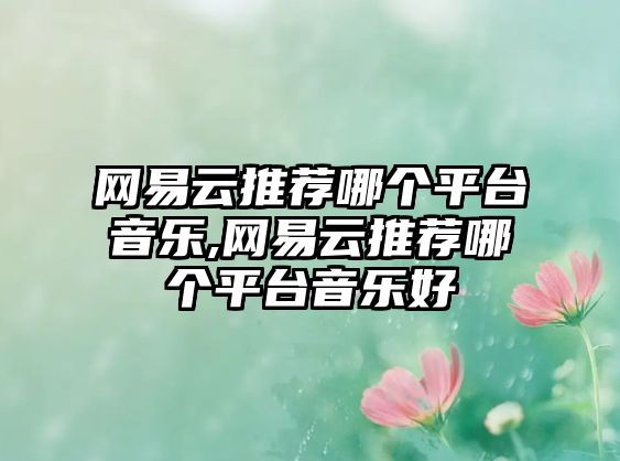 網易云推薦哪個平臺音樂,網易云推薦哪個平臺音樂好