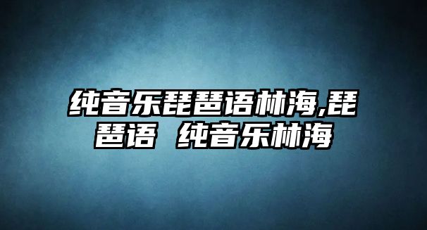 純音樂琵琶語林海,琵琶語 純音樂林海