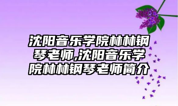 沈陽音樂學院林林鋼琴老師,沈陽音樂學院林林鋼琴老師簡介