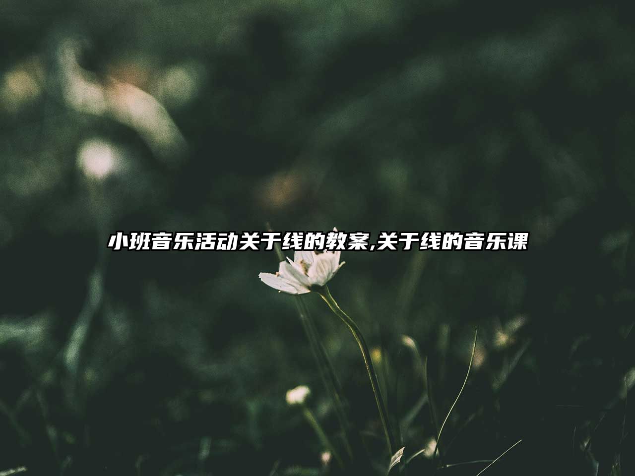 小班音樂活動關于線的教案,關于線的音樂課