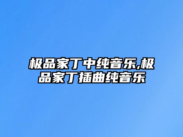 極品家丁中純音樂,極品家丁插曲純音樂