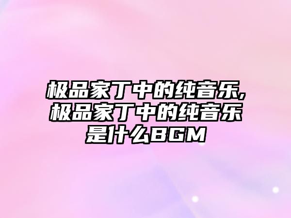 極品家丁中的純音樂,極品家丁中的純音樂是什么BGM